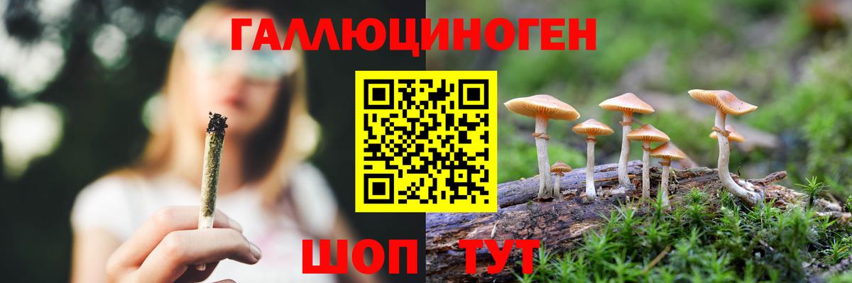 Псилоцибиновые грибы мицелий Верхняя Пышма